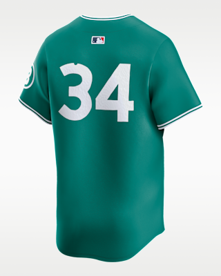 Reviews: David Ortiz Boston Red Sox City Connect Men's Nike Dri